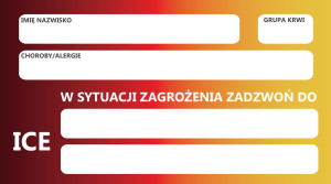 ICE Dzień Bezpiecznego Kierowcy